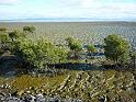 New_Zealand (1023)